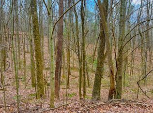 138 Saint Andrews Way, Ellijay, GA 30536