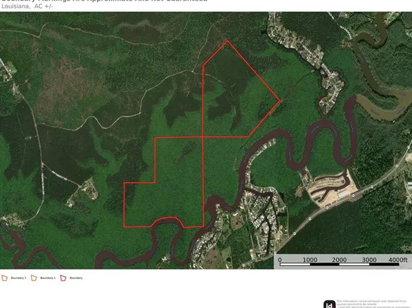 236 River Pines Dr, Springfield, LA 70462