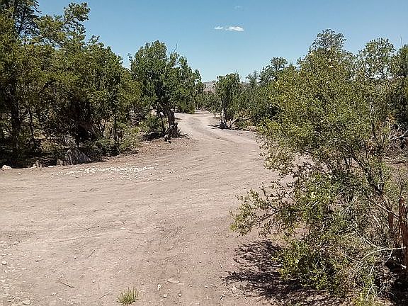 Driveway to lower level 