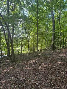 LOT 4 Skyway Dr, Moneta, VA, 24121