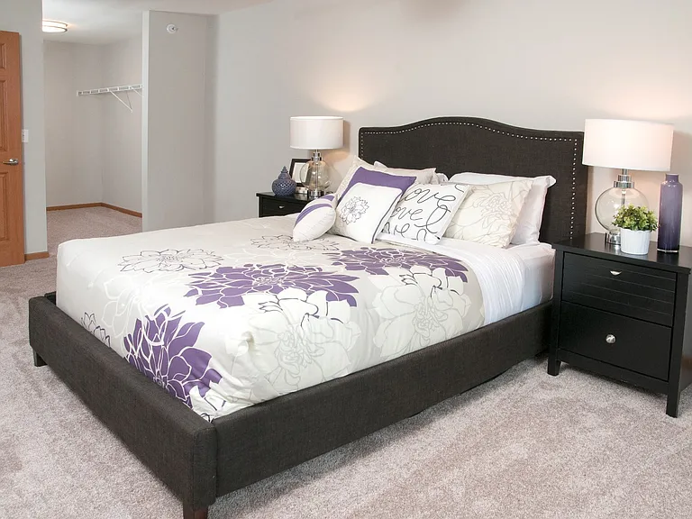 Master bedroom with walk-in closet