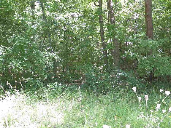 5th image of 12000 State Highway 323 W