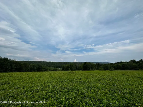 247 Brace Brook Rd, Forest City, PA 18421
