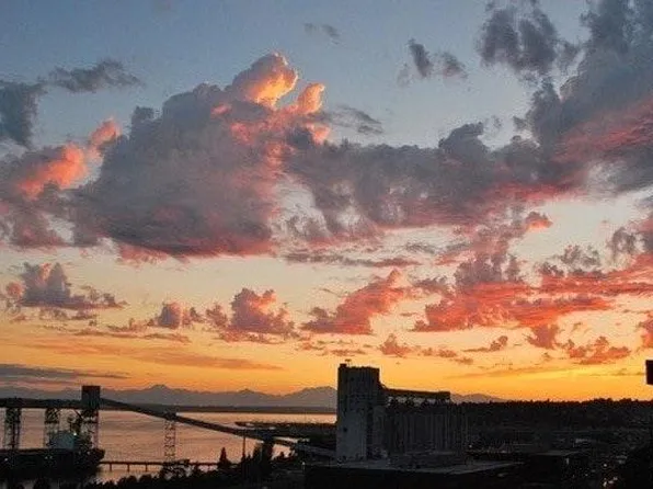 521 5th Ave W Unit 505, Seattle, WA 98119