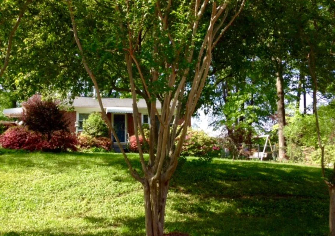 Mayfair St, Cary — Photo 2