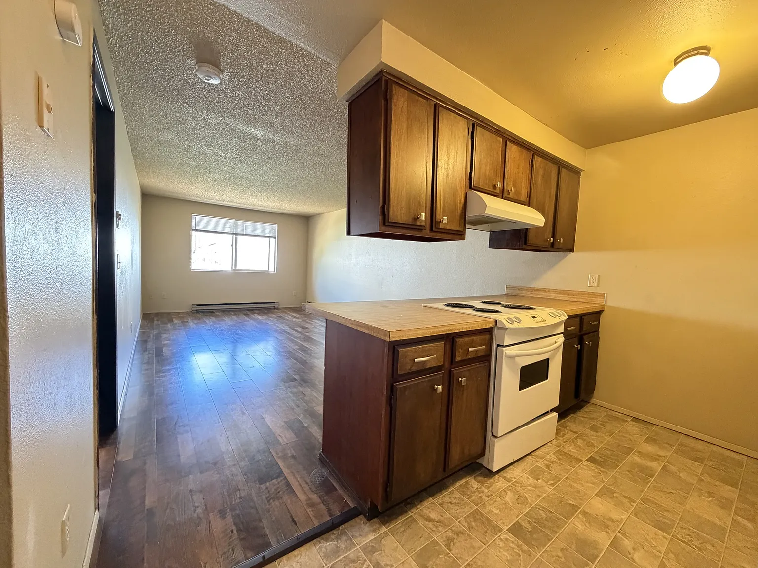 1 bed, 600 sqft, $1,450 — Photo 2