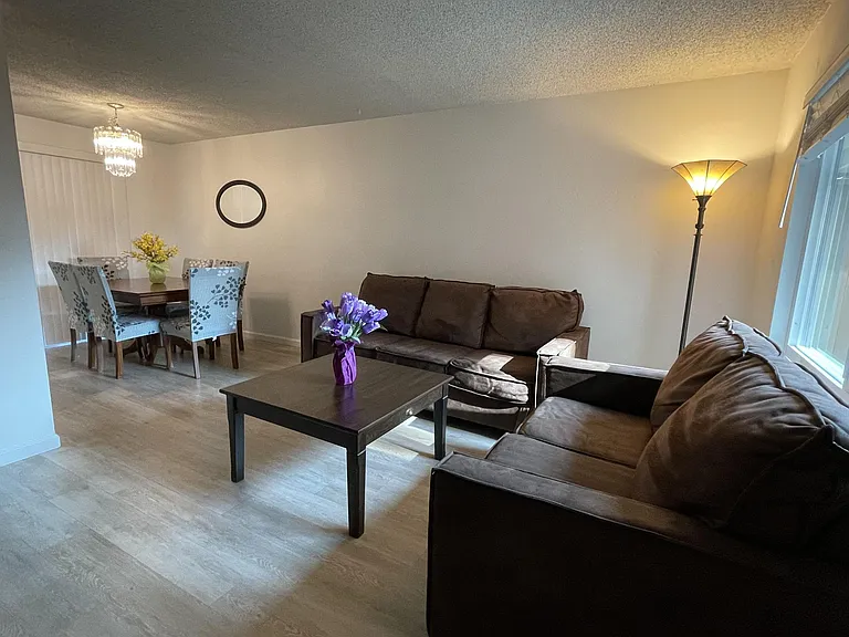 Current furbished downstairs living room