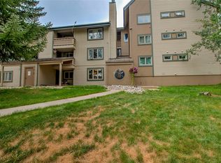 1001 Grandview Drive UNIT 11, Breckenridge, CO 80424