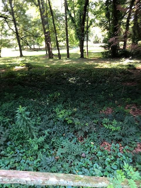 1st image of LOT 1 Timber Trace Cir NW