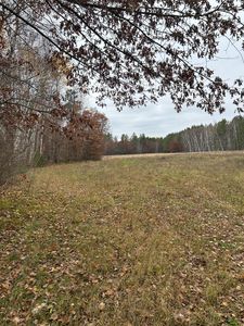 Basswood Lake Rd, Ponsford, MN, 56575