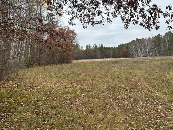 Basswood Lake Rd, Ponsford, MN 56575