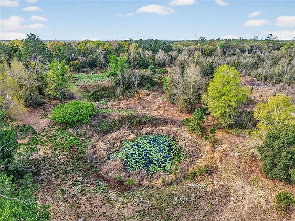 2nd image of Island Pond Ln