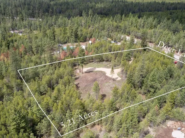 3702 N Deer Lake Rd, Loon Lake, WA 99148