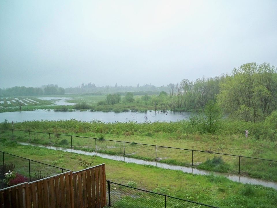 View - May 2009