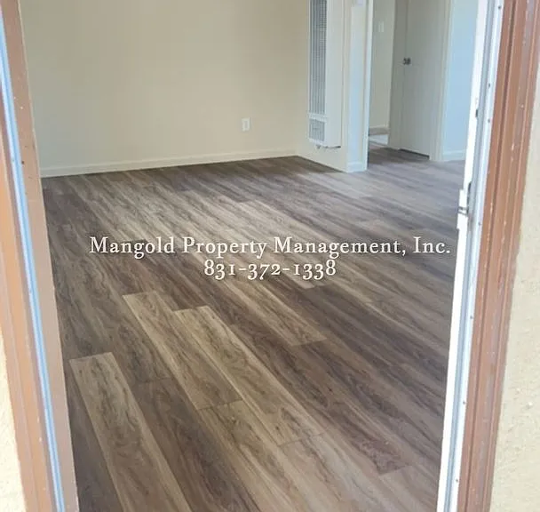255four — Photo 5