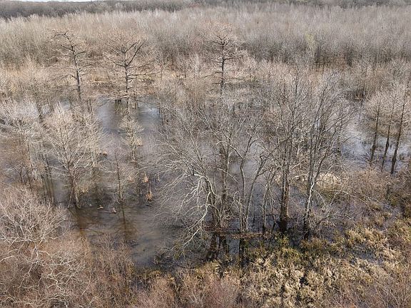 Dji 20260225110750 0238 D