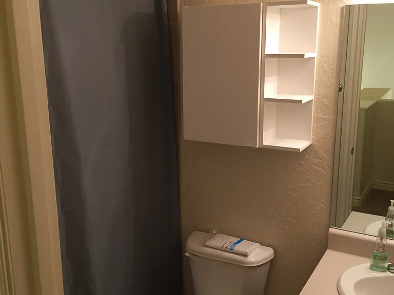 Shared Upstairs bathroom