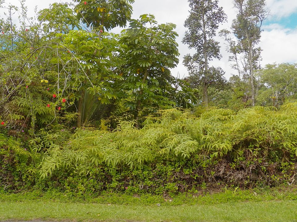 1st image of 12-559 Diamond Head Dr Lot 59