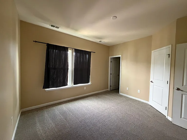 4376 Pickney Ln — Photo 11