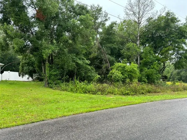 1 Guava Pass Trl Lot 1, Ocklawaha, FL 32179