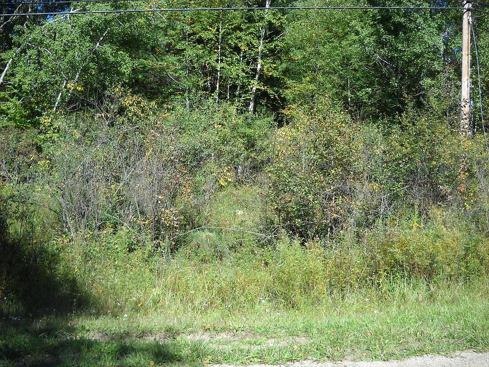 1st image of 9875 Lake Miramichi Dr
