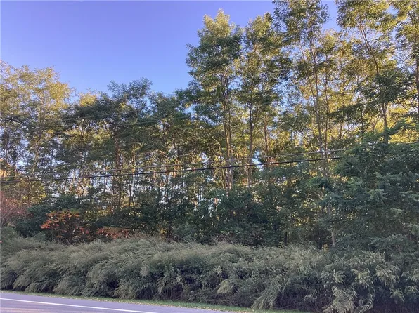 829 Scottsville Mumford Rd Lot 1, Scottsville, NY 14546