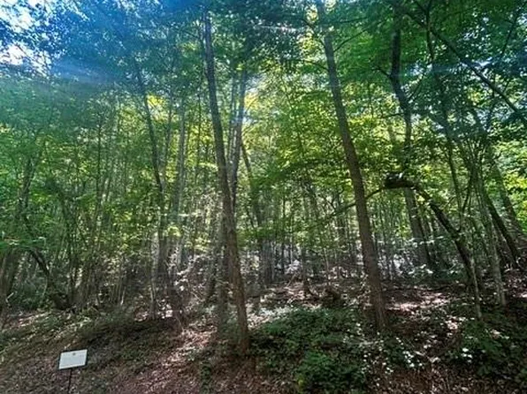 LOT 272 Hummingbird Cv, Lake Lure, NC 28746