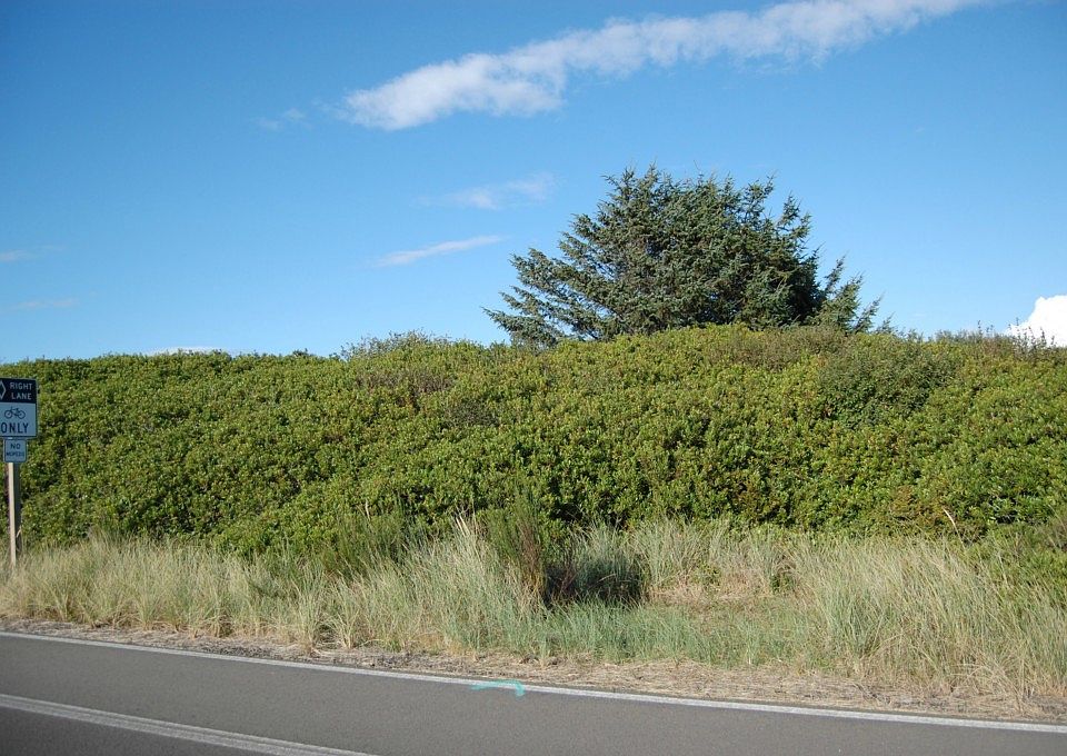 2nd image of 1212 E Ocean Shores Blvd SW