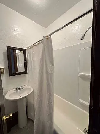 Studio, 350 sqft, $1,300 — Photo 4