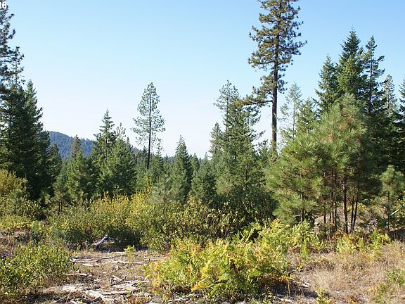 3rd image of Cedar Valley Rd