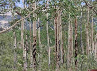 3350 Dave Wood Rd, Montrose, CO 81403