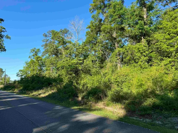 Old Bethel Rd, Crawfordville, FL 32327