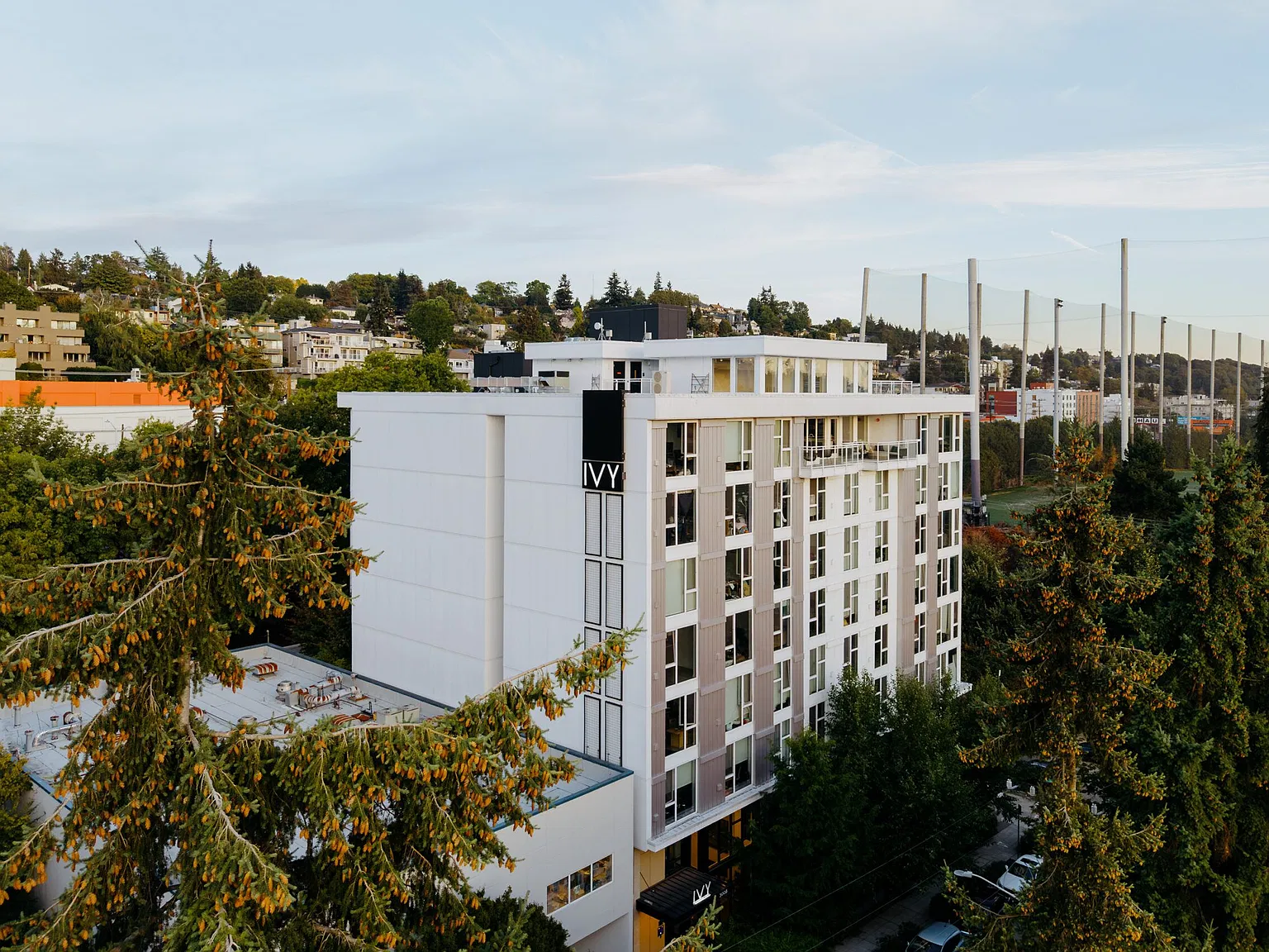 Ivy at Interbay — Photo 4