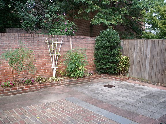 Rear Patio