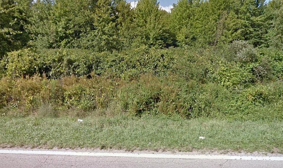 1st image of 55700 County Road 388
