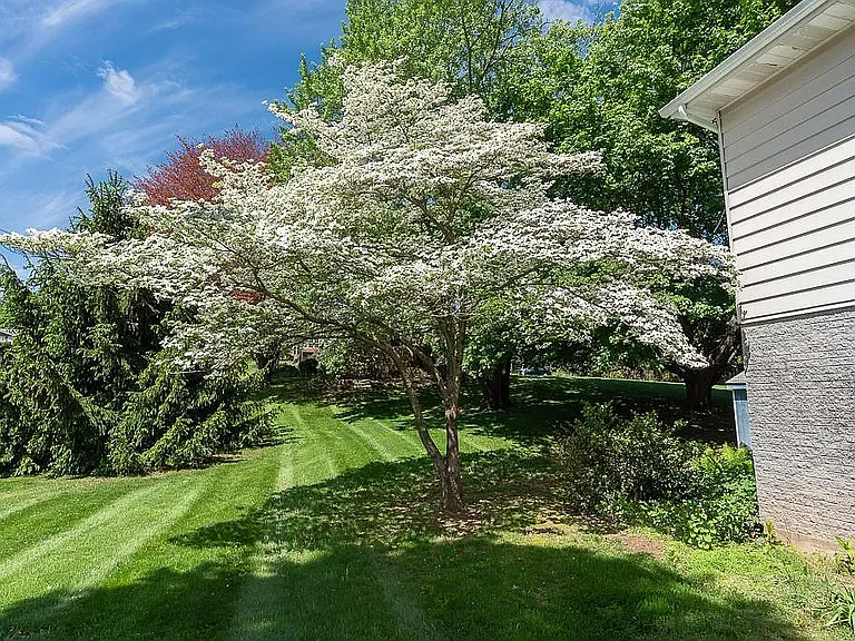 5849 Beverly Hills Rd — Photo 23