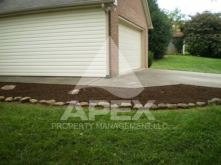 913 Oak Haven Rd — Photo 4