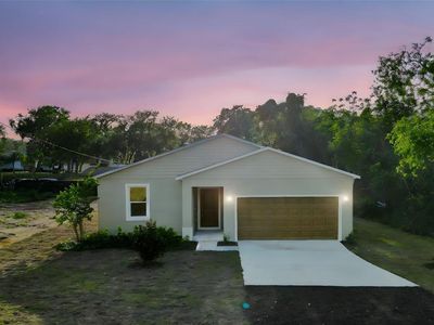170 Blaine St, Eustis, FL, 32726