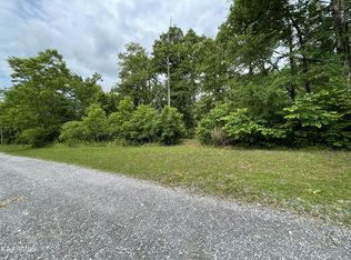 French Broad River Rd LOT 2, Seymour, TN 37865