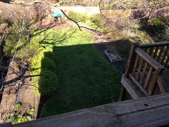5442 S Cornell Ave #3S — Photo 2