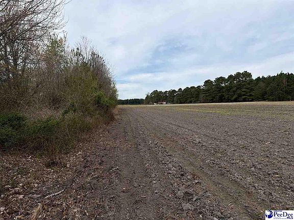 2nd image of Mta 4 Heustess Rd