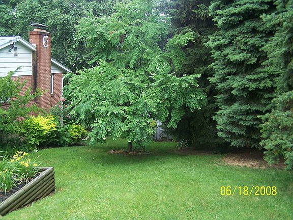 side into backyard view