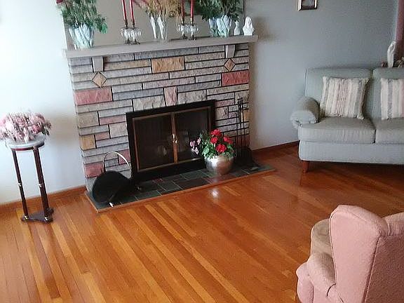 Fireplace 1 in Living Room