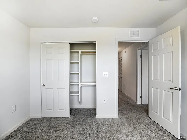 Bedroom featuring Spacious Closet with Organizers