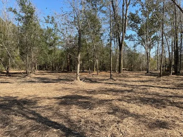 LOT 38 Highway 71, Wewahitchka, FL 32465