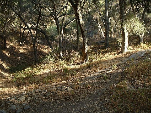 Enchanting Locations on Property to Hike, Ride, Camp or Picnic