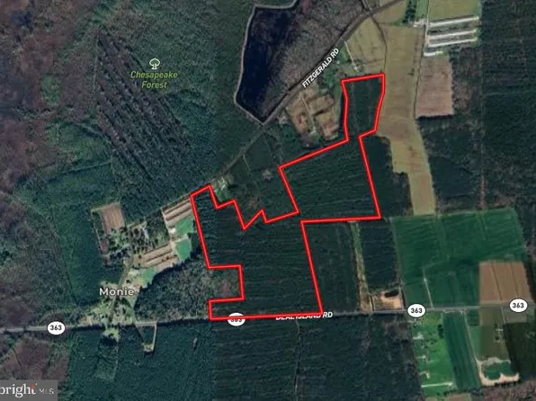 0 Fitzgerald Rd, Princess Anne, MD 21853