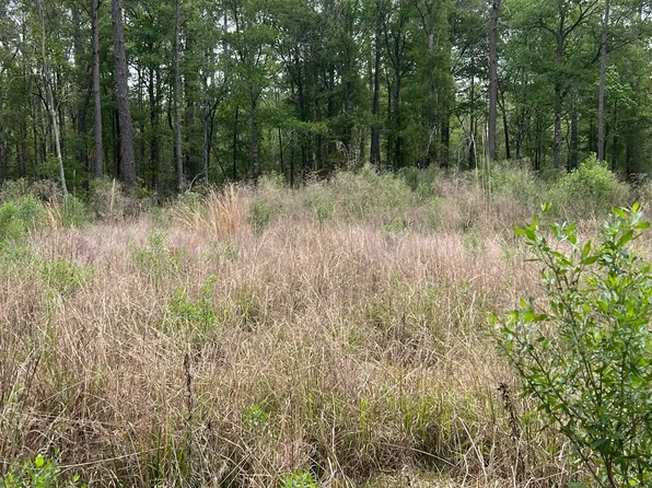 LOT 18 State Highway 63, Livingston, LA 70754
