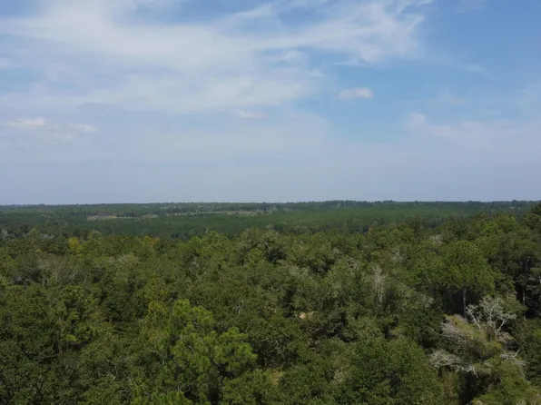 390 Finuff Rd, Chattahoochee, FL 32324