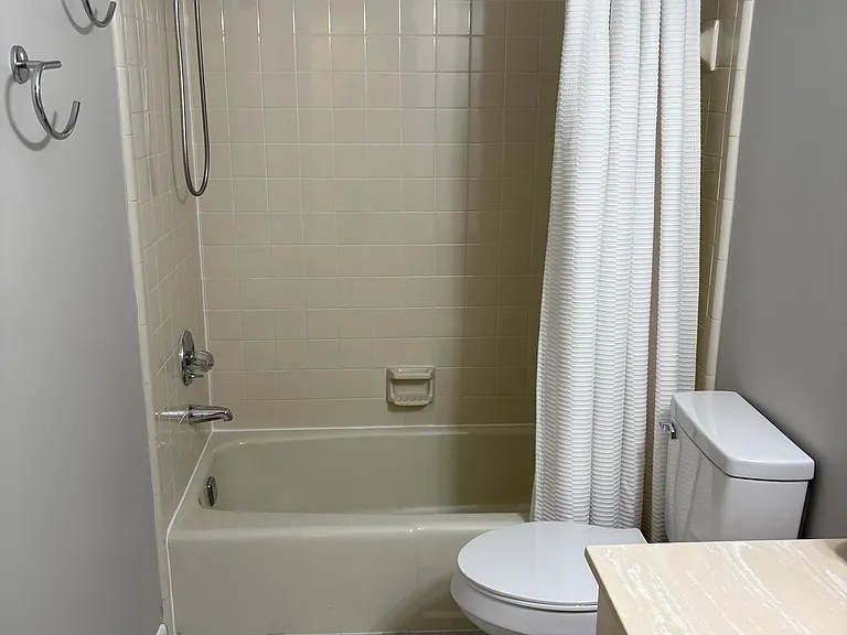 Guest bathroom